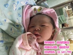 广州35岁谭女士 卵巢巧克力囊肿试管婴儿成功怀孕