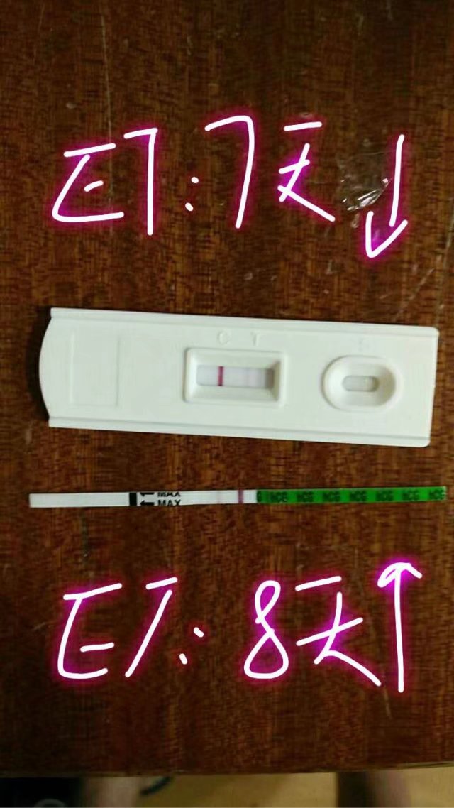 广州46岁郭女士移植XY囊胚成功妊娠生产一个健康的男孩