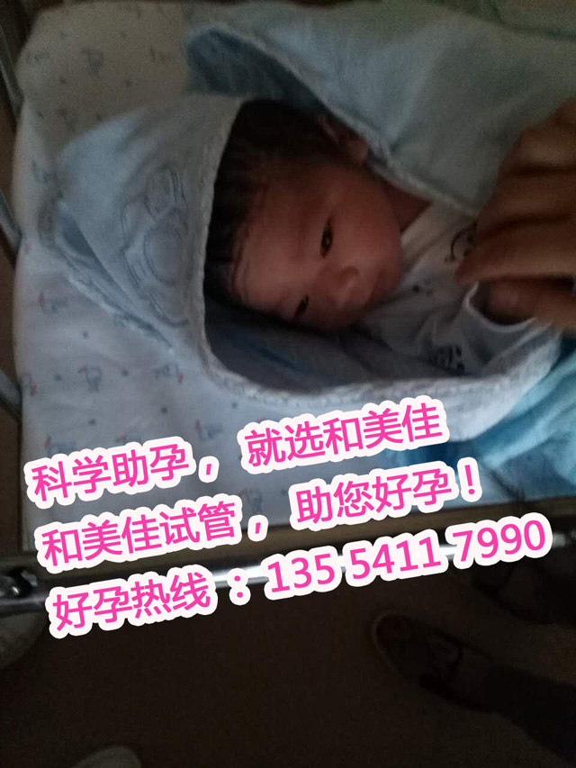 同性间的爱借力试管助孕 成功组建完美家庭