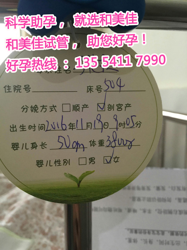 同性间的爱借力试管助孕 成功组建完美家庭