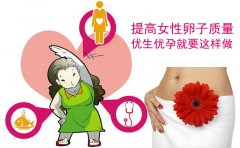 提高代妈卵子质量 优生优孕就要这样做