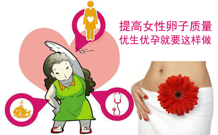提高代妈卵子质量 优生优孕就要这样做