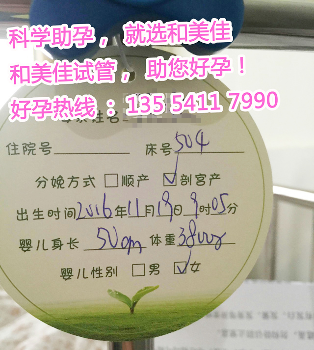 lesbian试管组建完美家庭