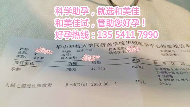 绝经也能怀孕,看X女士的成功妊娠经历