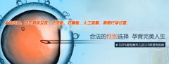 试管婴儿能否成功，4个因素是关键
