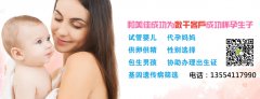 卵子质量是试管成功的重要条件